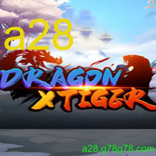 DragonXTiger